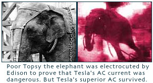 Tesla Elephant